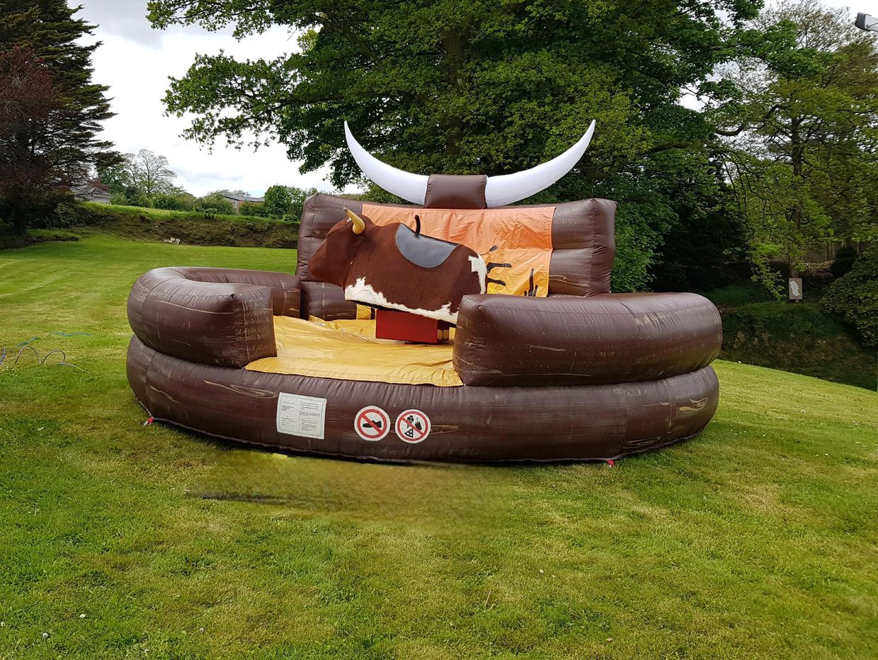 Rodeo Bull Hire Devon