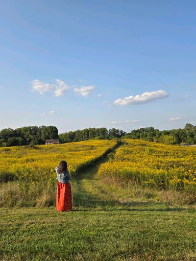 Woman standing in a field of yellow flowers under a clear blue sky.