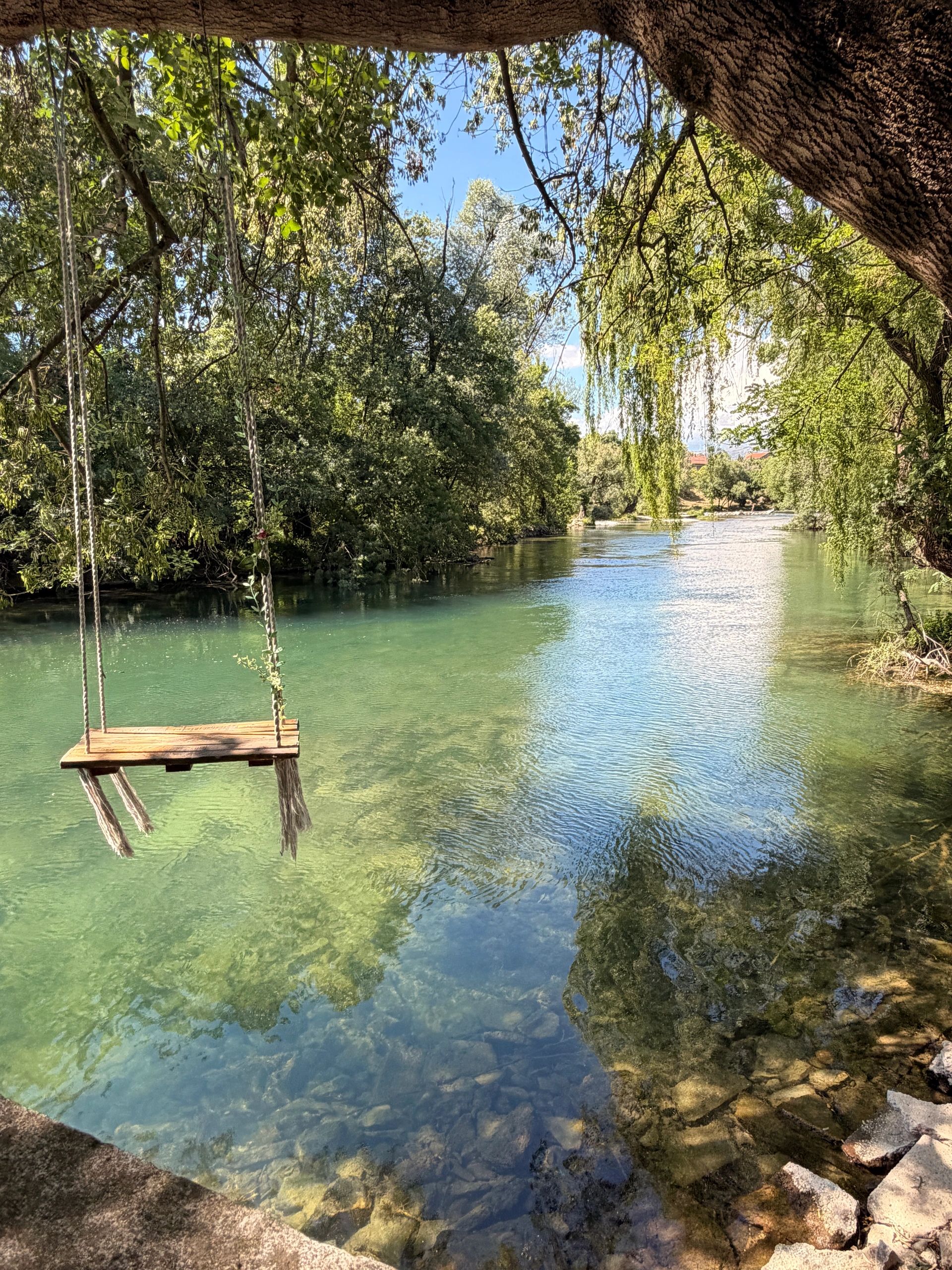 Swing hanging from a tree over a clear river.