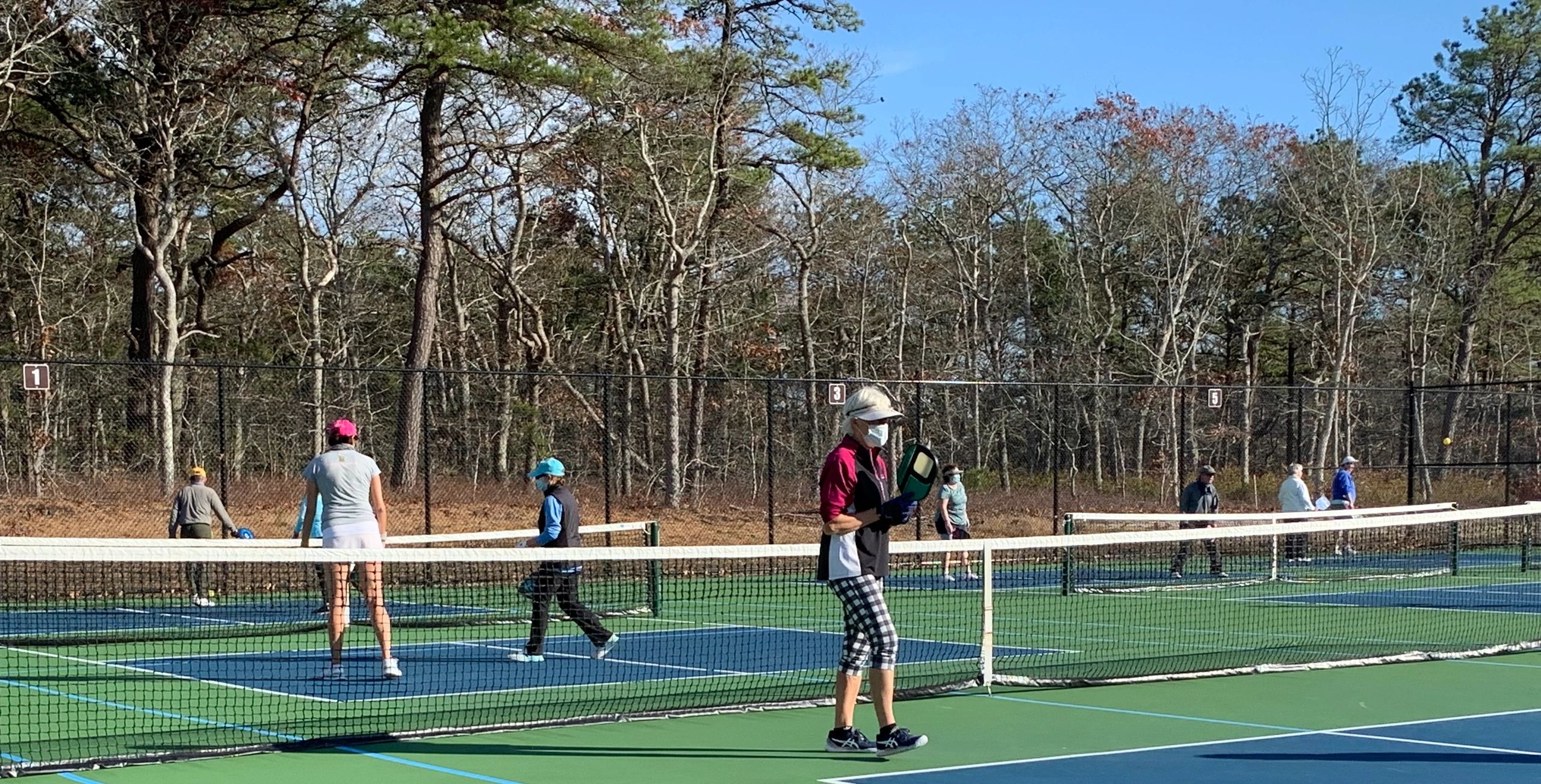 test contact Dennis Pickleball