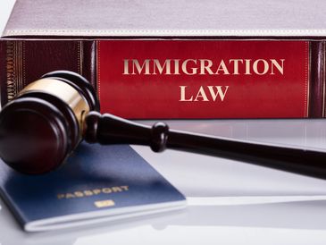 Immigration Law