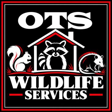 Logo of OTS Wildlife Services with raccoon, squirrel, and opossum.