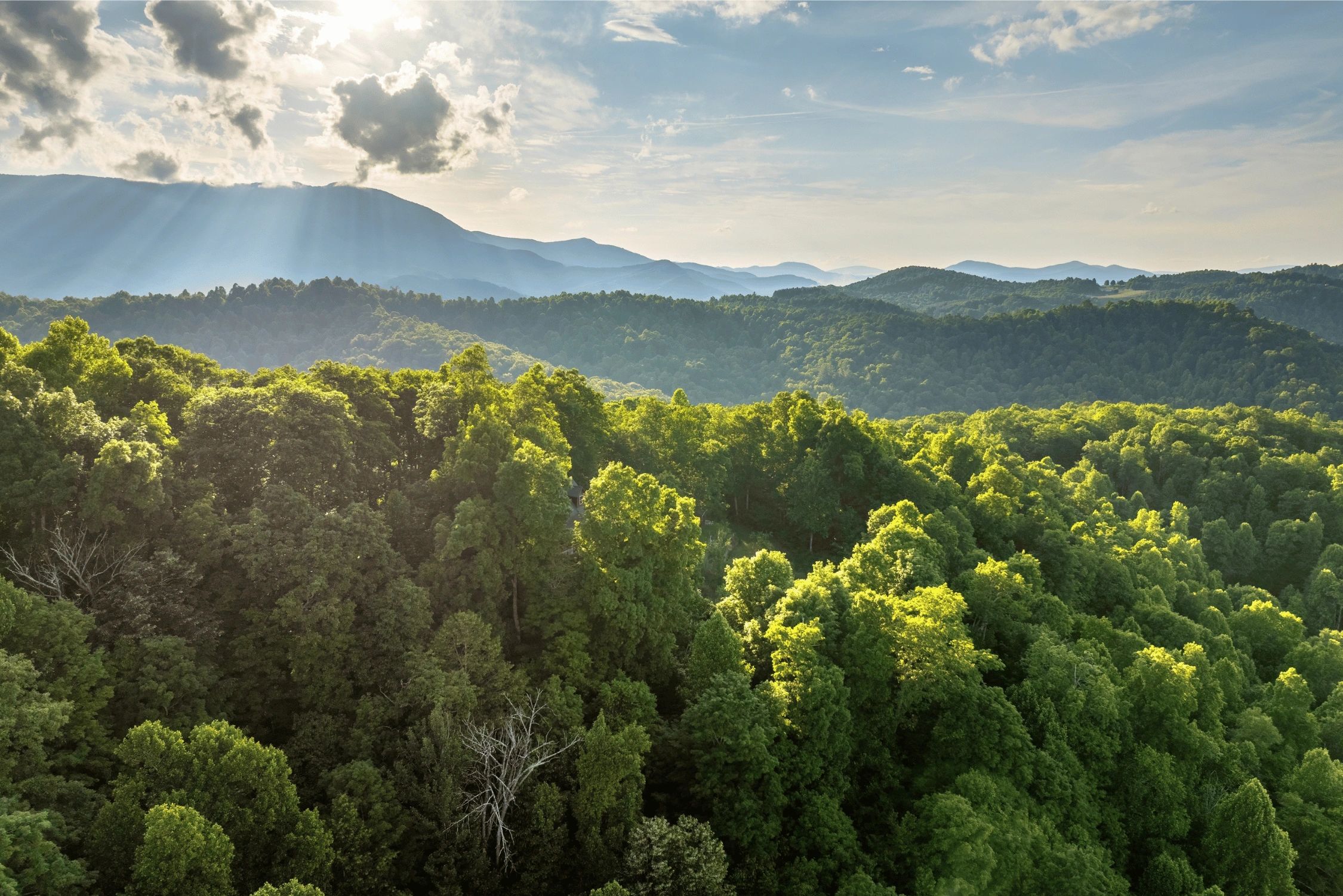 Dr. Steven Davidson, PHD, LCSW