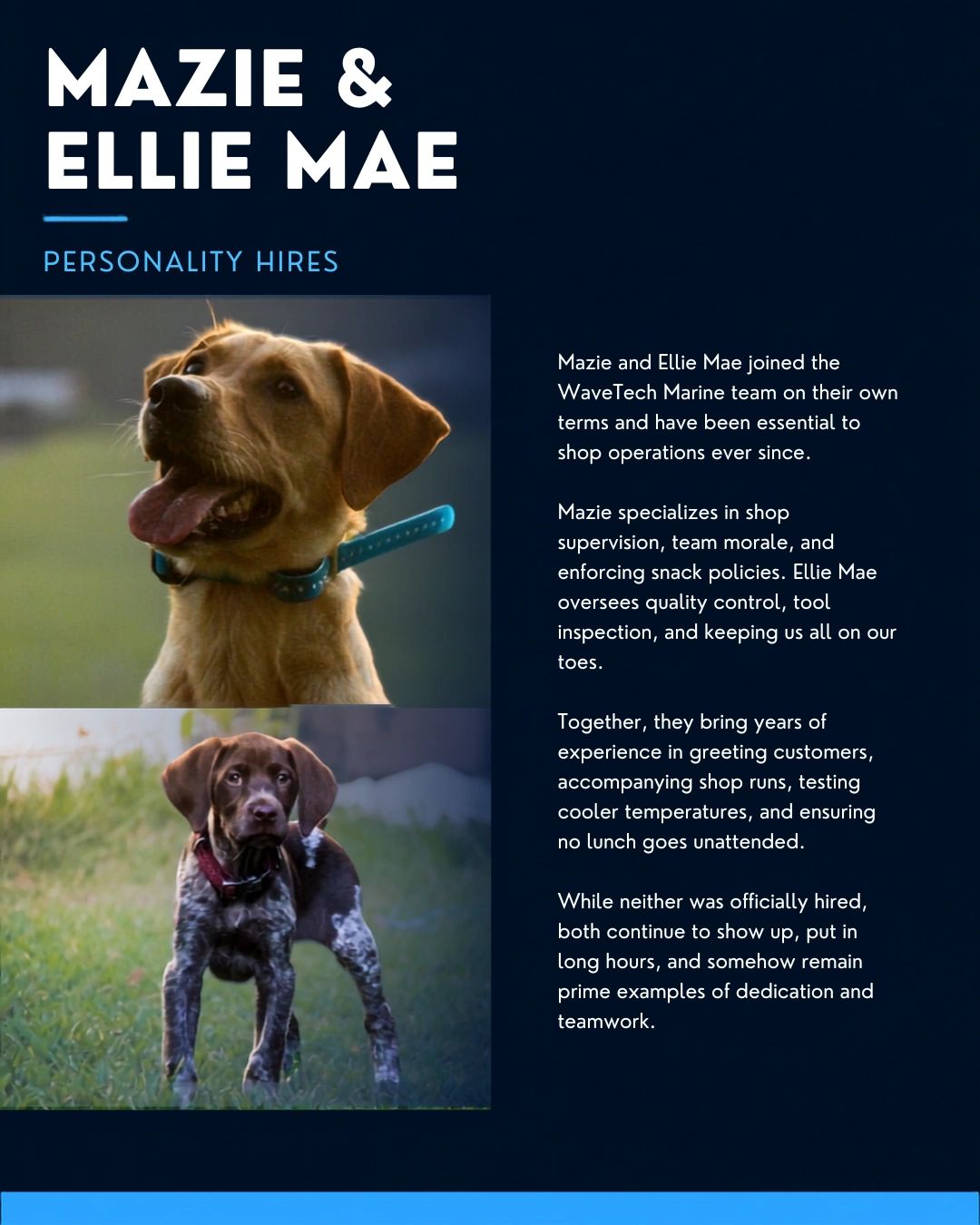 Mazie and Ellie Mae, two dogs vital to WaveTech Marine's shop team.