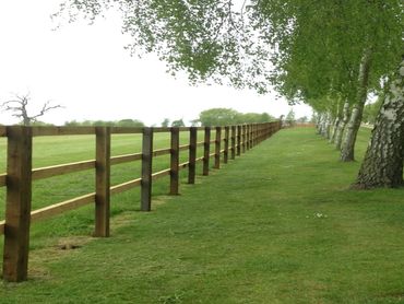 fencing norwich