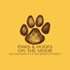 Paws And Hoofs On The Moor Dog Walking And Pet Sitting Service