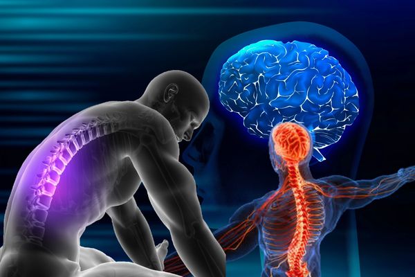 للحجز في أحسن مركز يمني استشاري لطب و جراحة المخ ولاعصاب و العمود الفقري في صنعاء