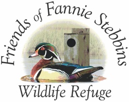 Friends of Fannie Stebbins