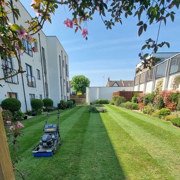 Well-maintained garden with striped lawn and lawnmower under a clear sky.