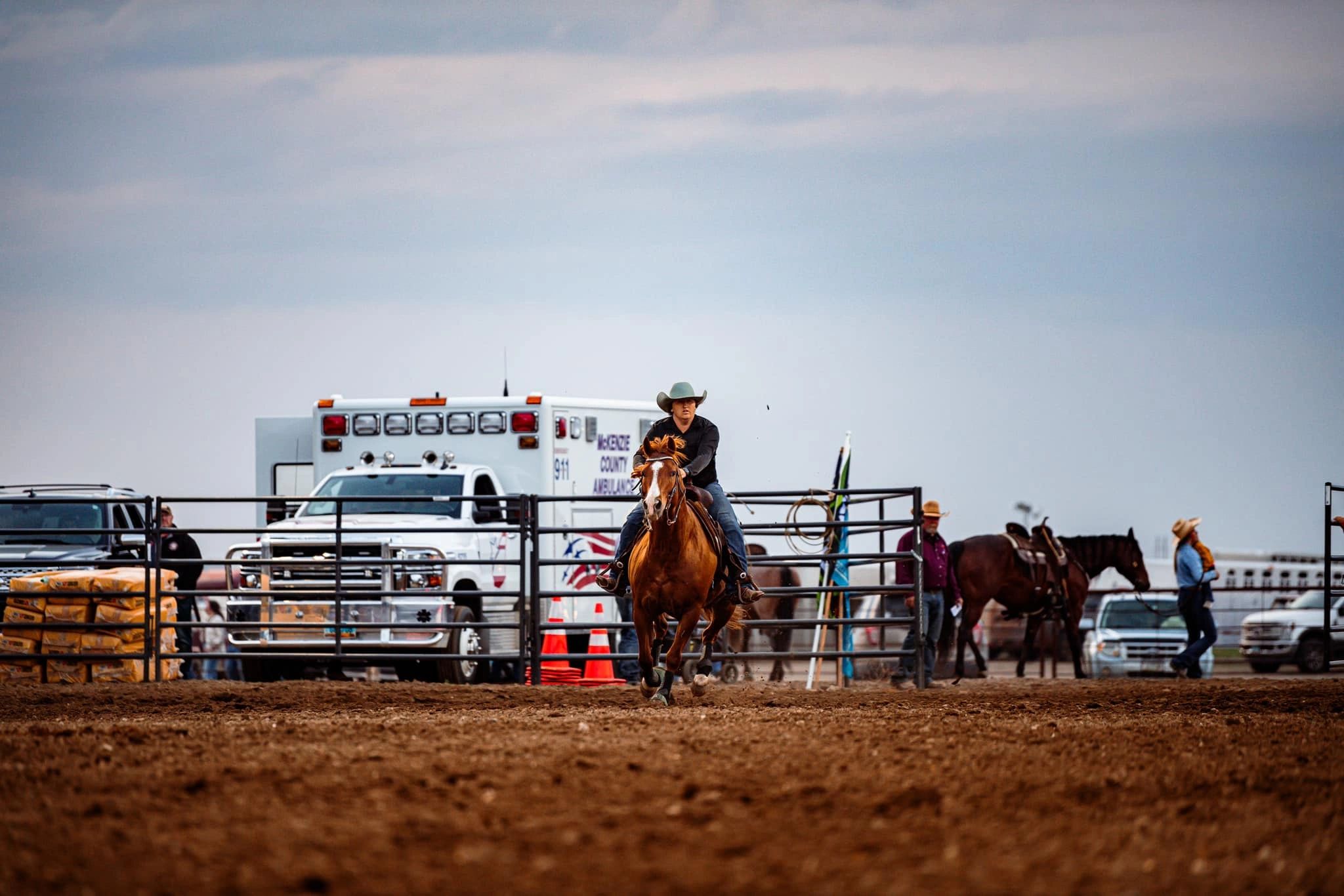 Our horses
