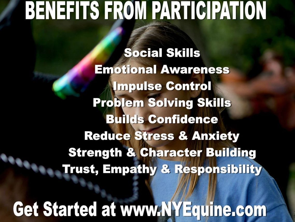 JL Performance Horses