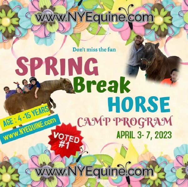 spring break horse camp program for children dutchess county ny kids