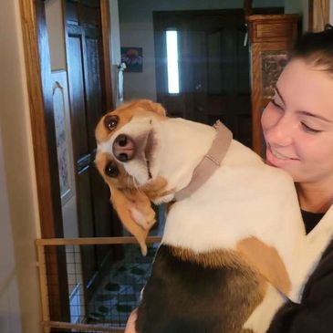 Woman happily hugging a beagle dog indoors.