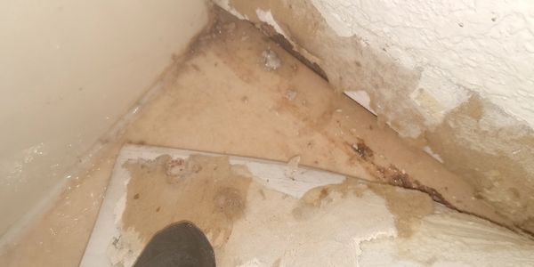 Sewage Cleanup in Home Caldwell Idaho