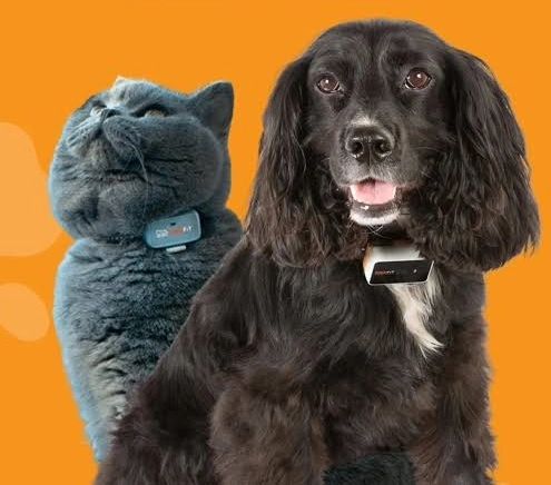 Pawfit Dog and Cat GPS Tracking Devices Malta