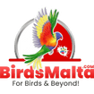BirdsMalta.com