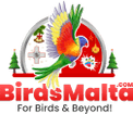 BirdsMalta.com