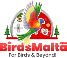 BirdsMalta.com