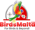 BirdsMalta.com