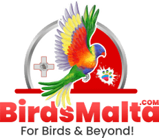 BirdsMalta.com