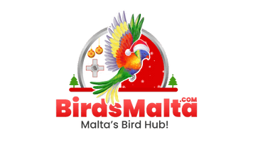 BirdsMalta.com