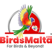 BirdsMalta.com