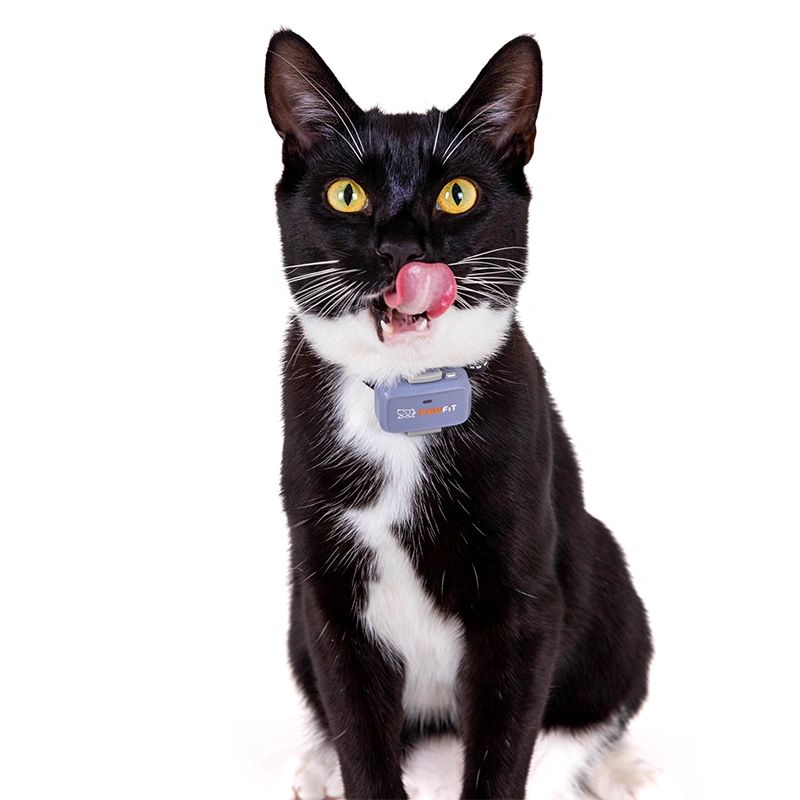 Pawfit Lite Cat Breakaway Collar