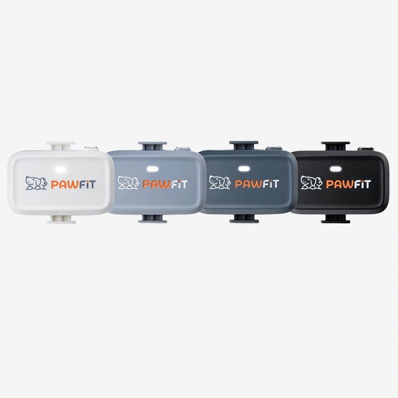 Pawfit Lite Dog Tracker