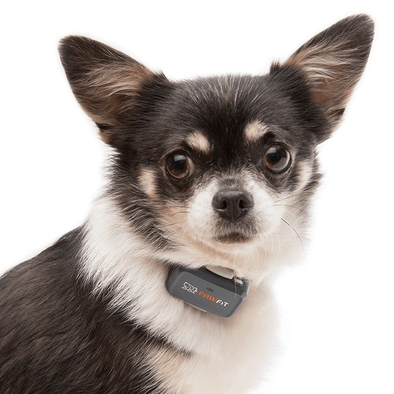 Pawfit Lite Collar Profile