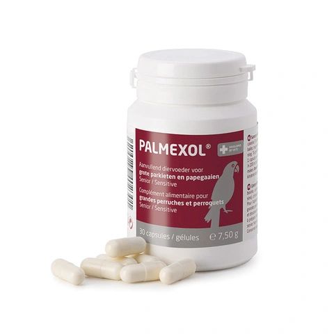 Palmexol chronic pain relief for adult birds, cockatoos, and conures Malta