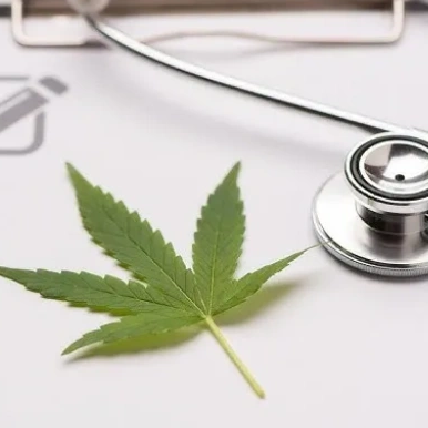 Medical cannabis leaf with a stethoscope on a clipboard.