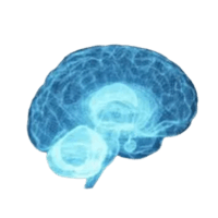 NeuralTrak