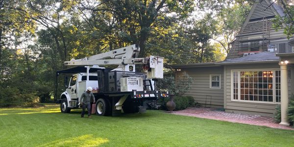 Tree trimming