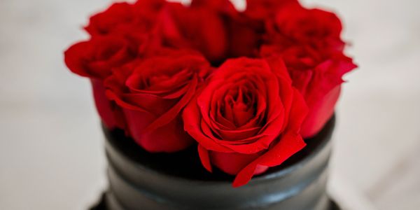RedRose. 