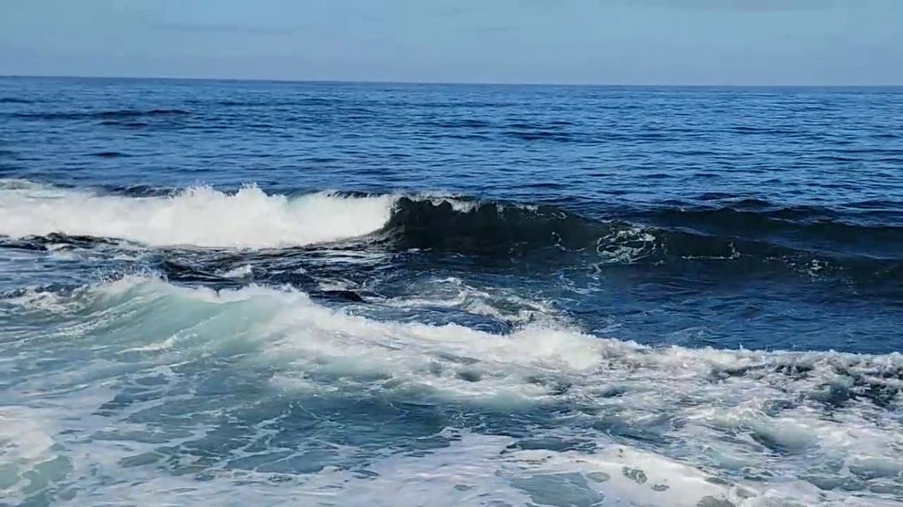 https://img1.wsimg.com/isteam/ip/3e8a6dc4-494a-4ff0-8ee4-5176b67baf8a/thumbnails/thumbnail-382446c4-2946-4efe-be87-5b26d486b5d1.png