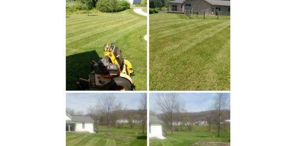 After pic's of two different properties. Both were and are still long term clients to this day. 12yrs