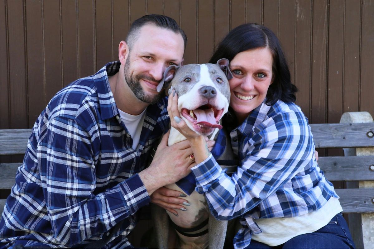 A cheerful dog sits between its two loving owners during their nj engagement photo shoot.