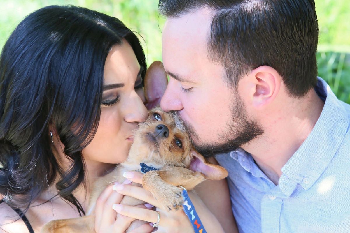 A cheerful dog receives kisses from it's two loving owners during their nj engagement photo shoot at sayan gardens.