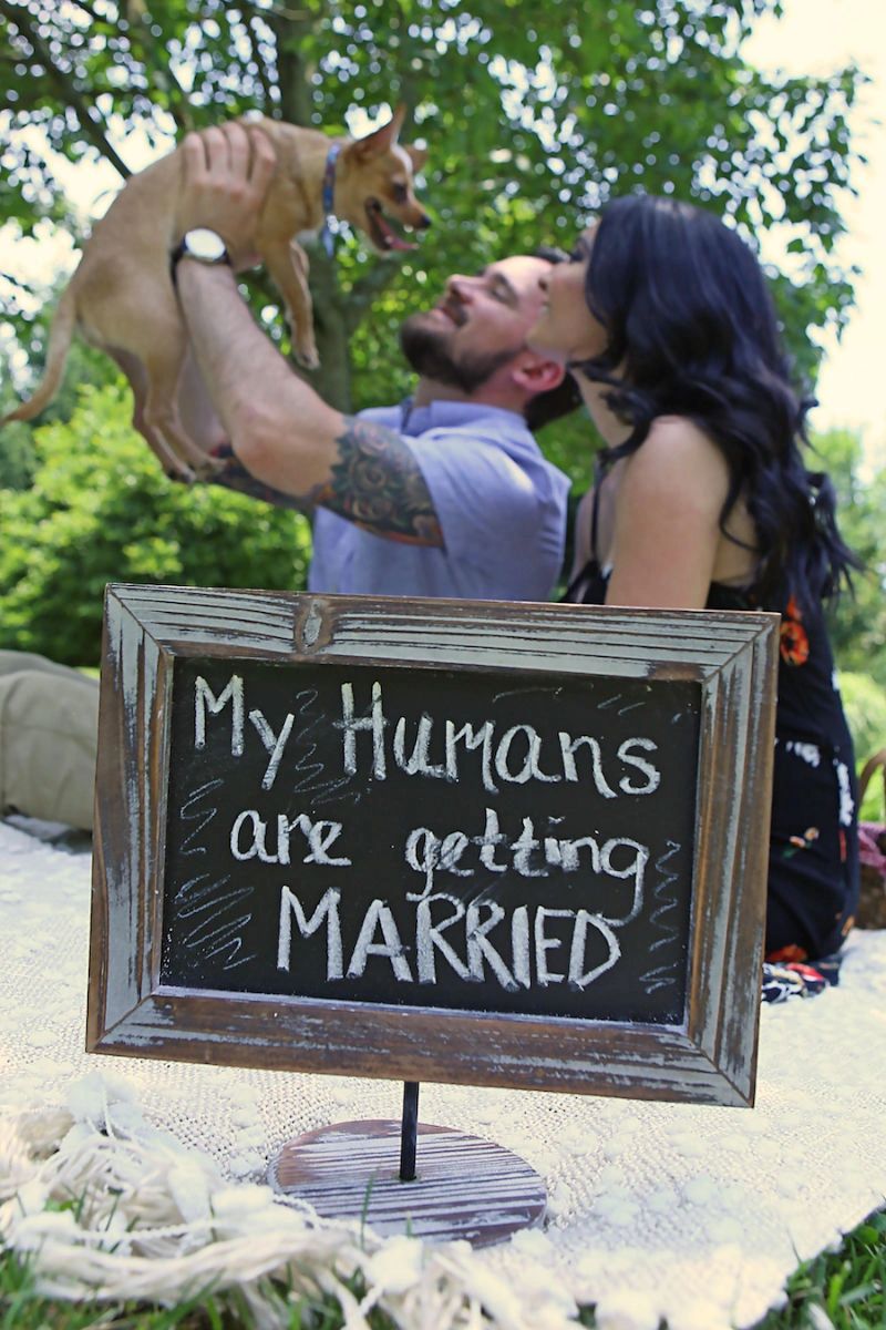 A cheerful dog being lifted up by its two loving owners behind a custom "my humans are getting married" sign during their sayan gardens engagement photo shoot.