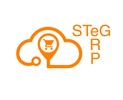STG ERP