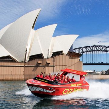 Shark attack speed boat thrill ride in Sydney Harbour