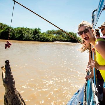 Women surprised by crocodile jumping out of water