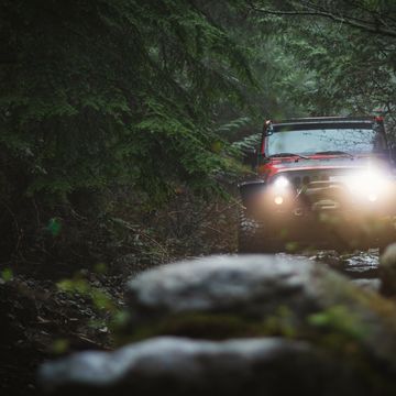 4WD through forrest