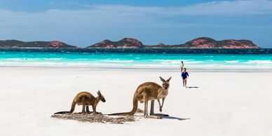 Kangaroo Island 