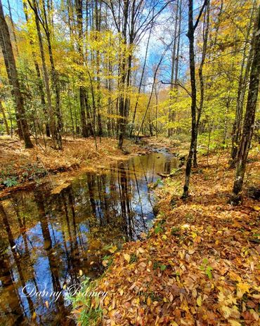 fall in the mountains