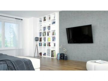 Modern living room with a large TV and bookshelf.
