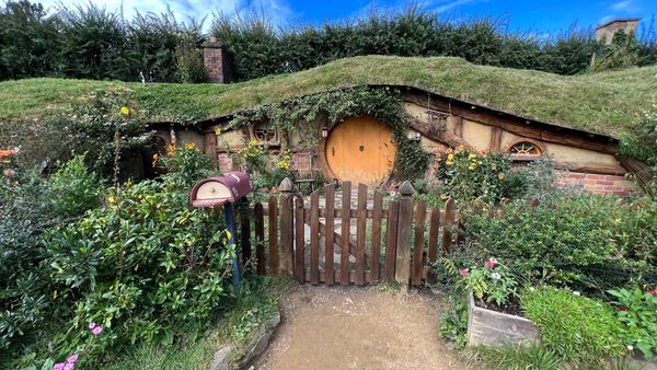 Hobbit hole, a hobbit house, during a Hobbiton Movie Set tour, New Zealand