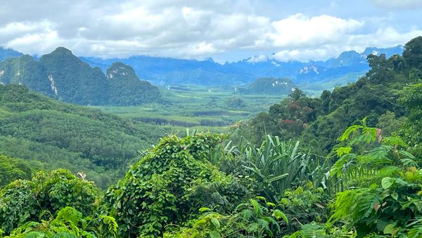 Landscape with green mountains, Khao Sok village, Thailand