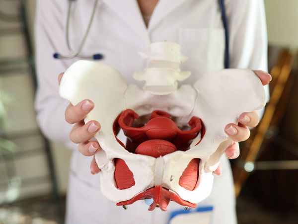 Pelvic health Physiotherapy