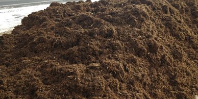 Redwood Gorilla Hair Mulch - Colorado Materials - Landscape